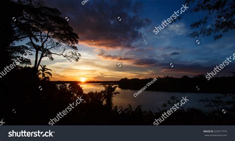  Amanecer en la Selva : Bir Şarkının Dans Etmesiyle Uyanan Doğa